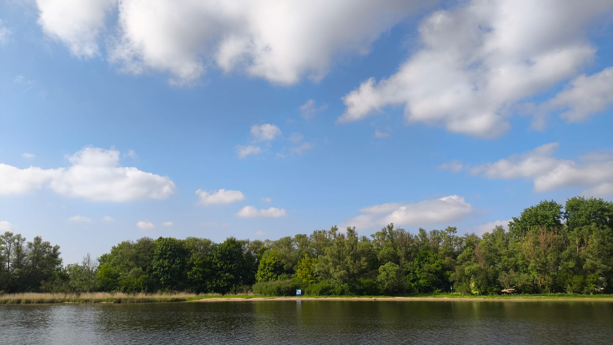 De Biesbosch